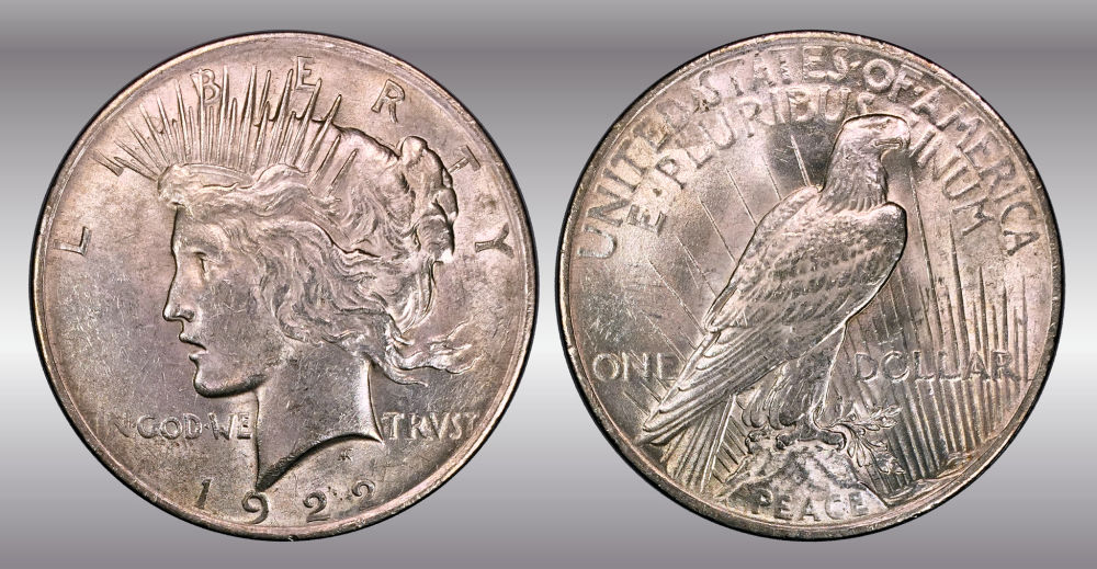 My-Raw-Peace-Dollar-Collection.-.-.-.-Warning!